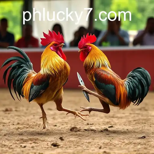 Exploring the Digital Phenomenon of Online Sabong with PHLUCK7.COM